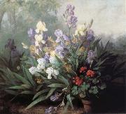 Barbara Bodichon Landscape with Irises oil